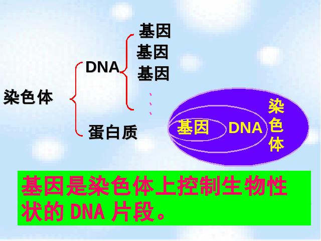 初二下册生物《7.2.2基因在亲子代间的传递》第7页