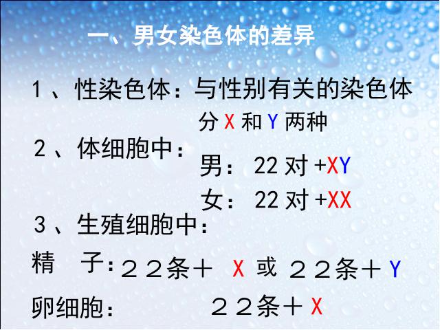 初二下册生物生物《7.2.4人的性别遗传》下载第6页