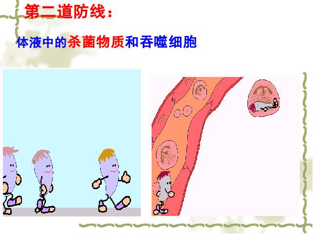 初二下册生物生物《8.1.2免疫与计划免疫》第3页