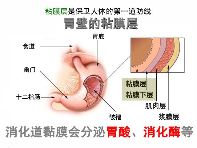 初二下册生物《8.1.2免疫与计划免疫》生物第9页