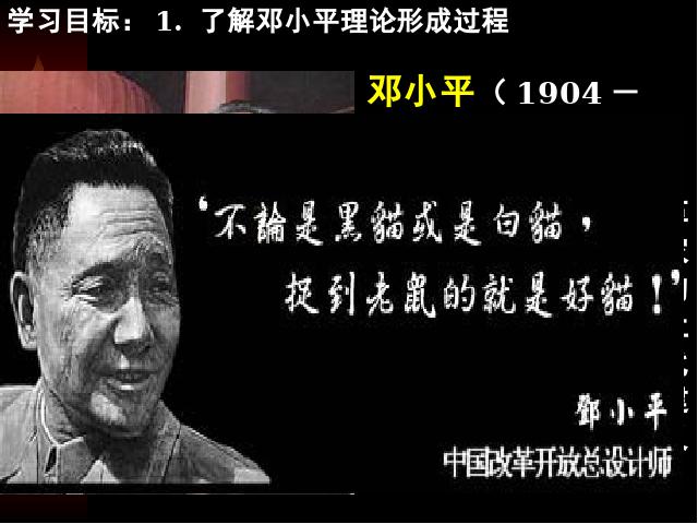初二下册历史《第10课:建设中国特色社会主义》(）第3页