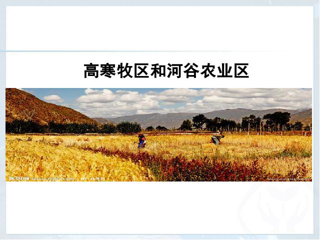 初二下册地理地理《青藏地区自然特征与农业》（）第7页