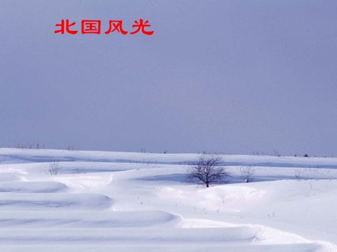 初三上册语文1.《沁园春·雪》课件（28张）第2页