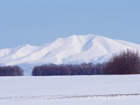 初三上册语文毛泽东《沁园春·雪》ppt课件（25页）第1页