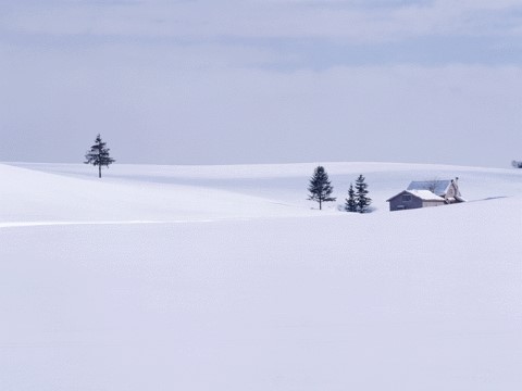 初三上册语文毛泽东《沁园春·雪》ppt课件（25页）第2页