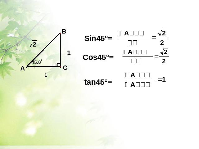 初三下册数学《28.1锐角三角函数》(数学)第5页