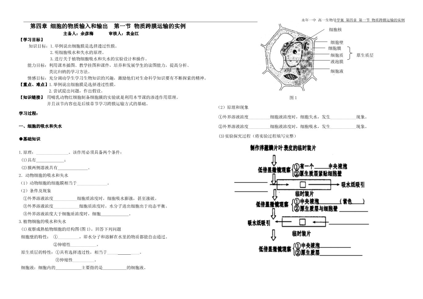 高中生物必修一14.第四章  第一节  物质跨膜运输的实例（导学案）第1页