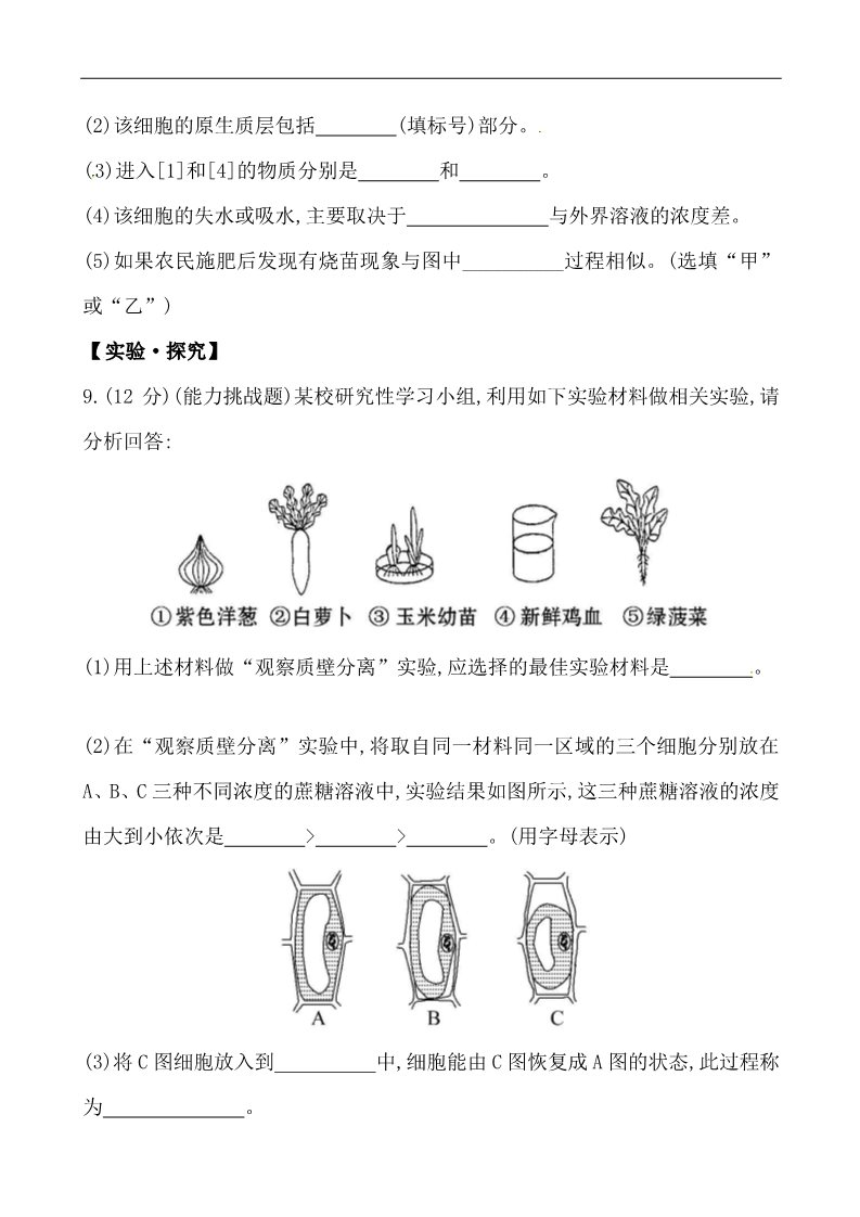 高中生物必修一课时提升卷(十一)  第4章  第1节第4页