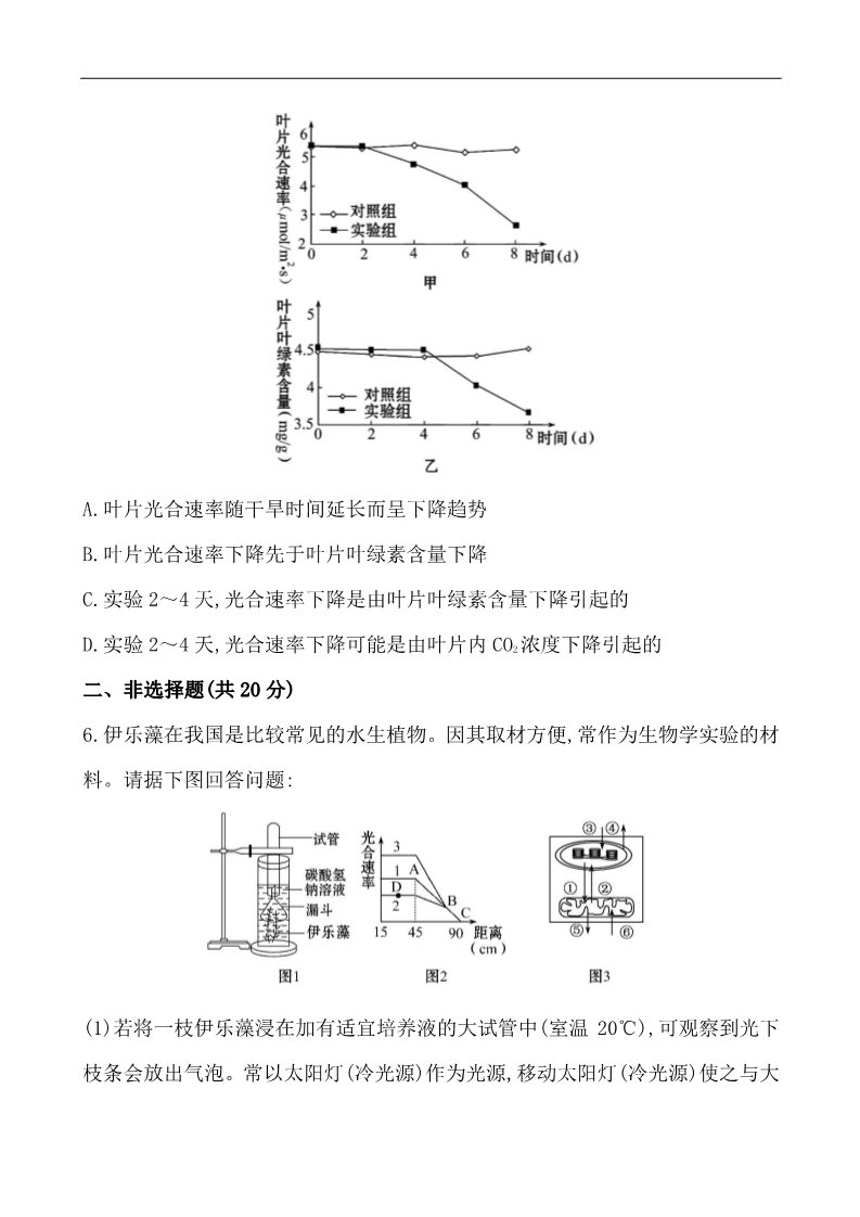 高中生物必修一课时提升卷(十八)  第5章  第4节 二 第2课时第3页