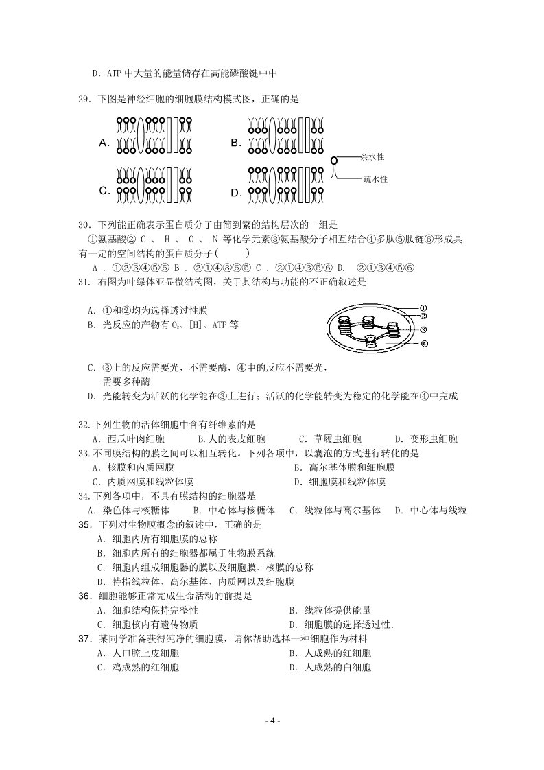 高中生物必修一黑龙江省大庆中学2010-2011学年高一生物上学期期末考试第4页