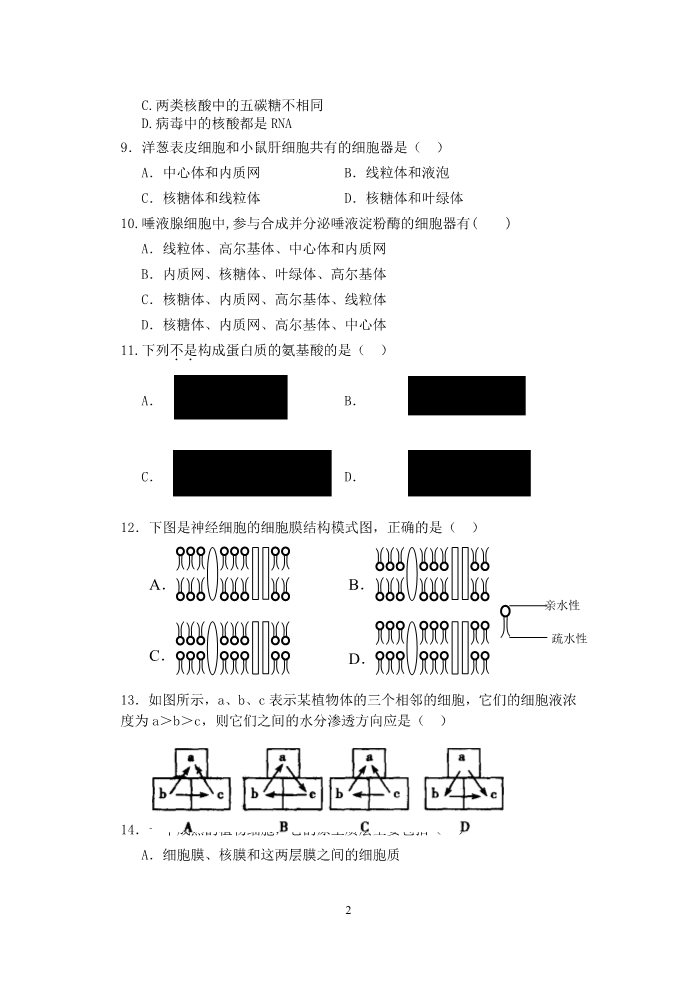 高中生物必修一陕西省陕师大附中11-12学年高一生物上学期期末试题 文第2页