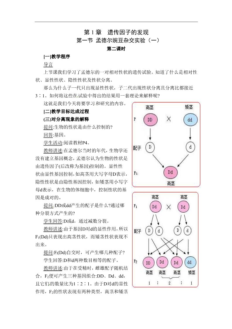 高中生物必修二人教高中生物必修2教案：第1章　第一节 孟德尔豌豆杂交实验（一）第2课时第1页