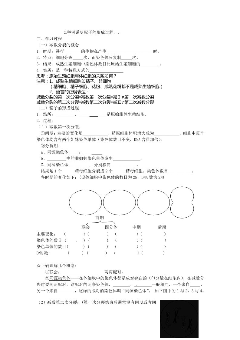 高中生物必修二必修二第二章第1节《减数分裂》导学案1第2页