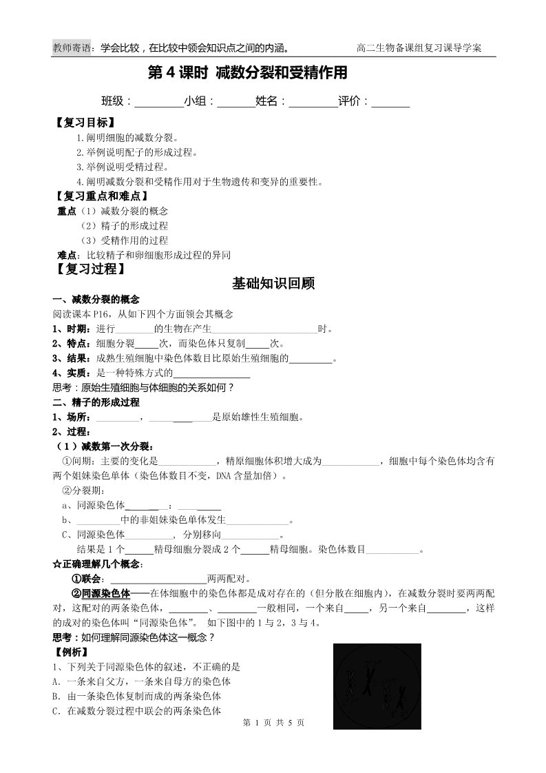 高中生物必修二第4课时 减数分裂和受精作用第1页