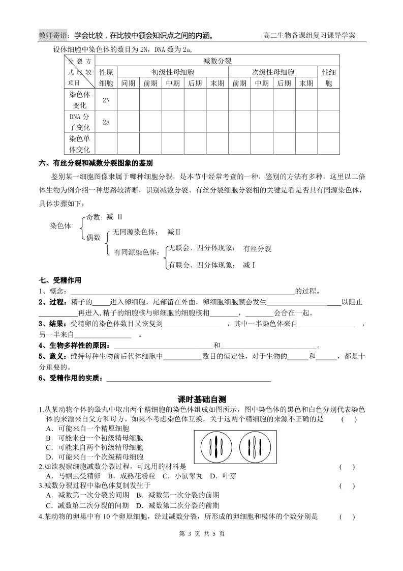 高中生物必修二第4课时 减数分裂和受精作用第3页