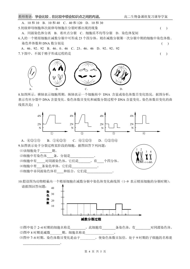 高中生物必修二第4课时 减数分裂和受精作用第4页