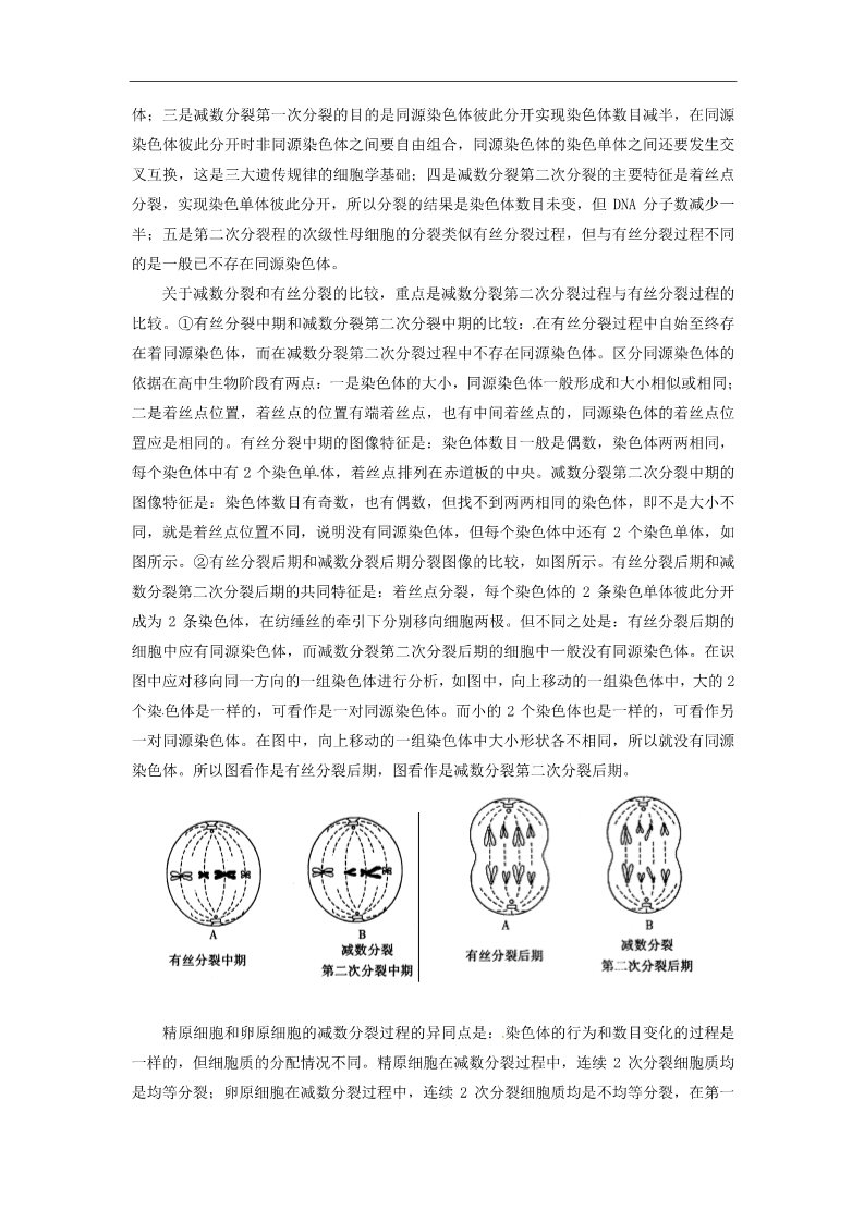 高中生物必修二人教高中生物必修2教案：第二章　第一节 减数分裂和受精作用2第3页