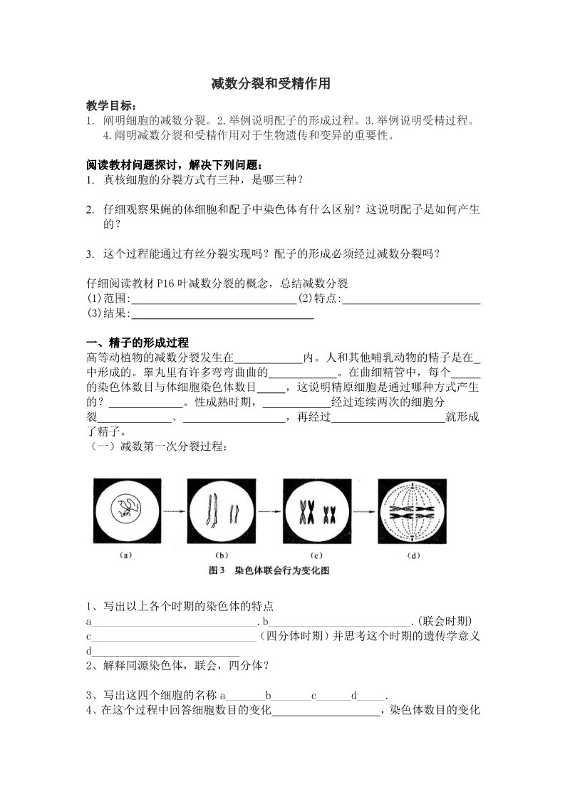 高中生物必修二减数分裂和受精作用第1页