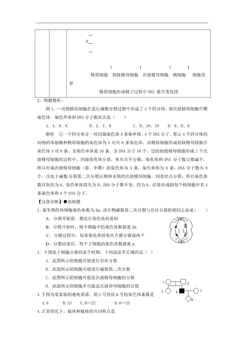 高中生物必修二人教高中生物必修2教案：第二章　第一节 减数分裂和受精作用3第4页