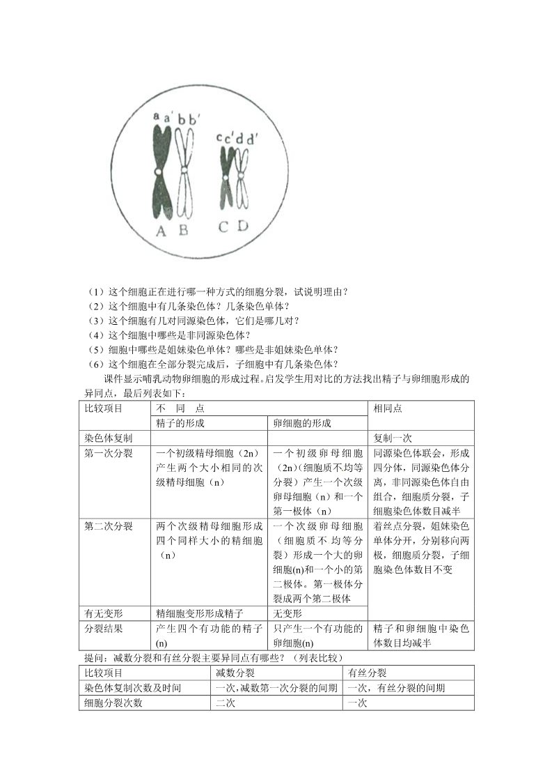 高中生物必修二必修二第二章第1节《减数分裂》教案2第2页