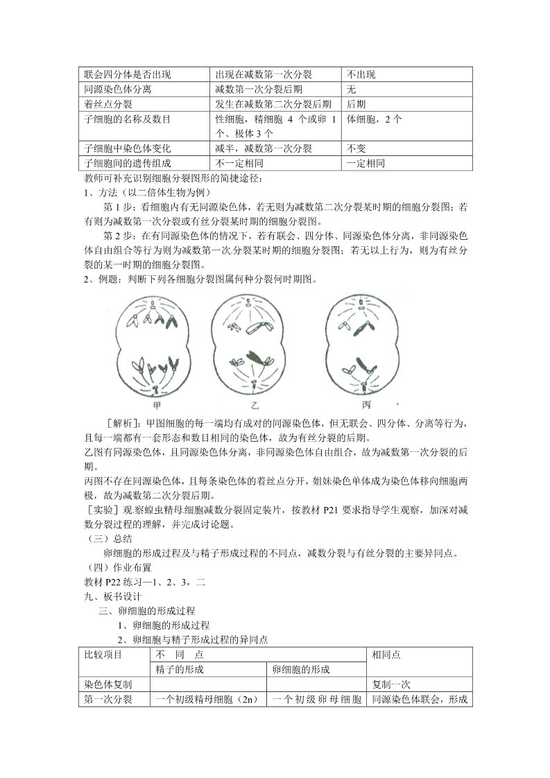 高中生物必修二必修二第二章第1节《减数分裂》教案2第3页