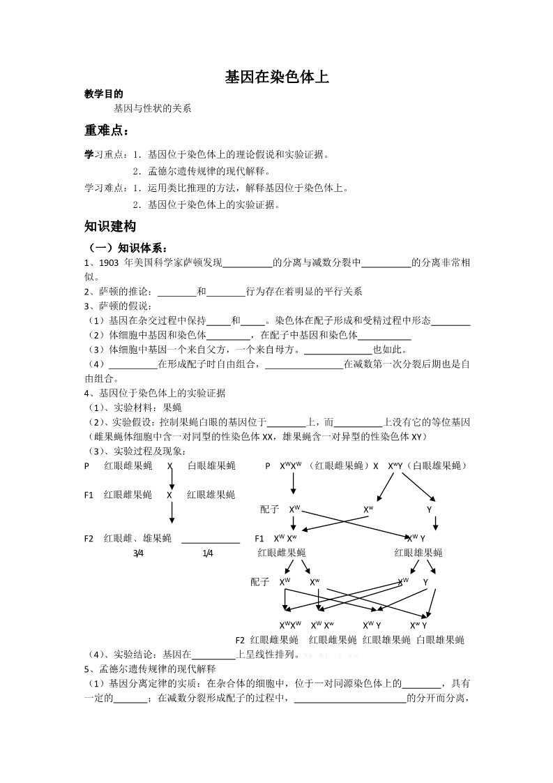 高中生物必修二人教高中生物必修2导学案：第二章第2节 基因在染色体上第1页