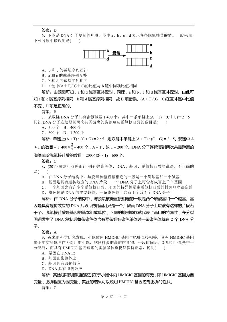 高中生物必修二必修二课时训练（第三章 第二讲 DNA的分子结构、复制与基因）第2页