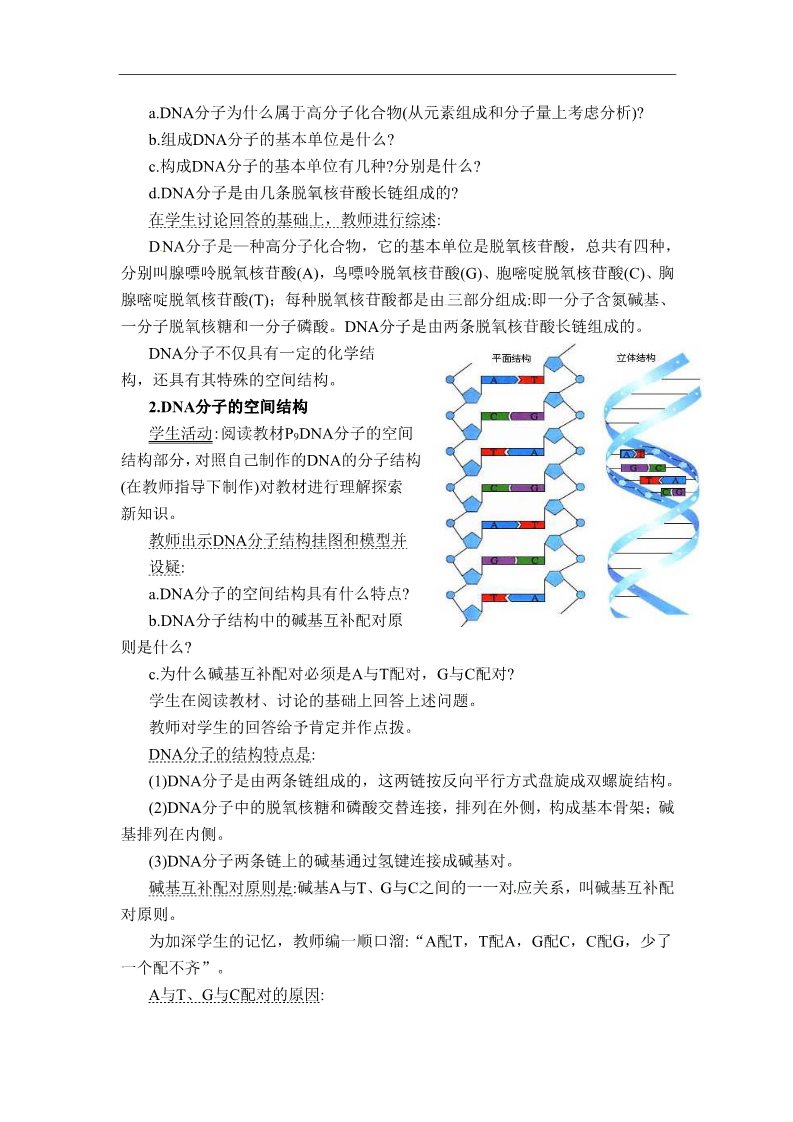 高中生物必修二人教高中生物必修2教案：第三章第二节 DNA分子的结构1第3页