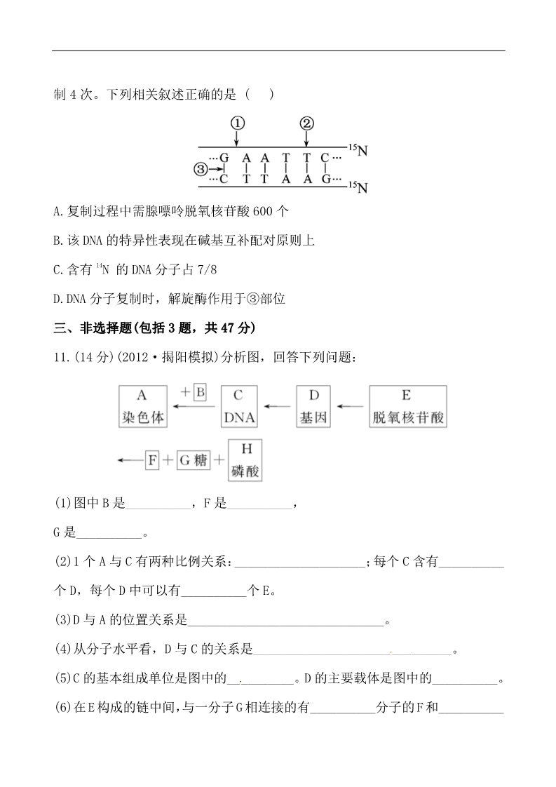 高中生物必修二2013版课时提能演练：2.3.2～4DNA分子的结构•DNA的复制•基因是有遗传效应的DNA片段第4页