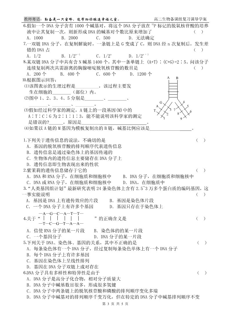 高中生物必修二第7课时 DNA的复制+基因是有遗传效应的DNA片段第3页