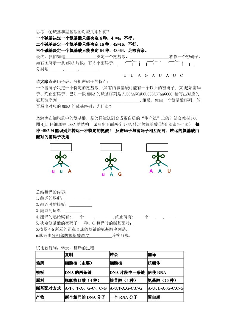 高中生物必修二第四章 基因的表达  第1节 基因指导蛋白质的合成第2页