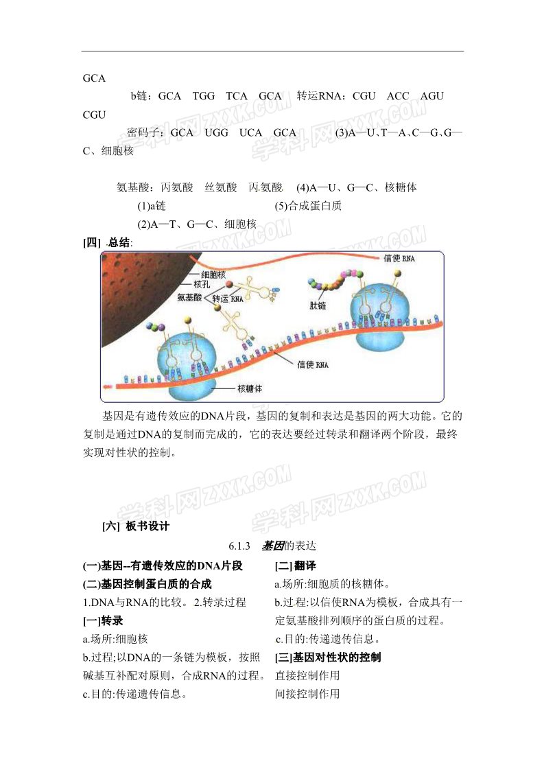 高中生物必修二人教高中生物必修2教案：第四章第二节 基因对性状的控制1第2页