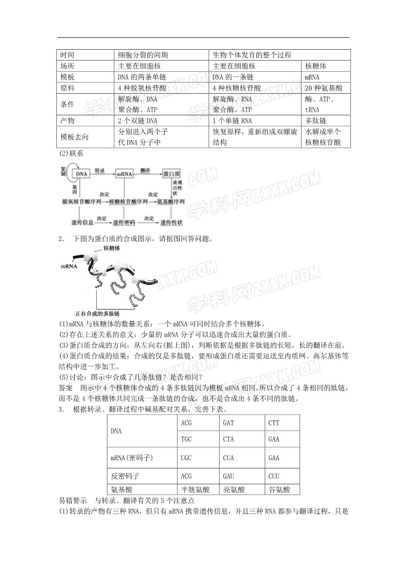 高中生物必修二【原创】2014届高三生物（人教版通用）一轮复习教案--- 第20讲 基因的表达第4页