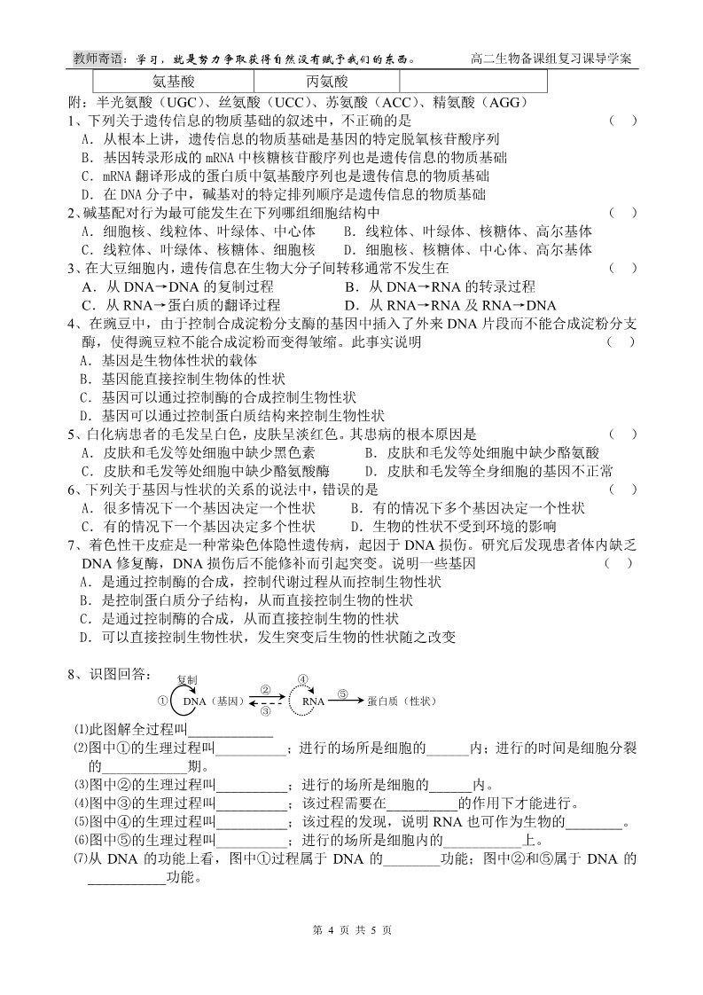 高中生物必修二第8课时 基因的表达第4页