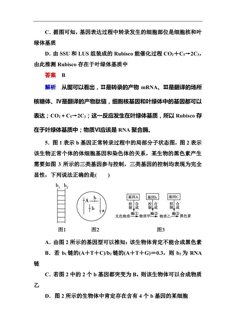 高中生物必修二2014届高考生物课后强化作业：2-3-3基因的表达第3页