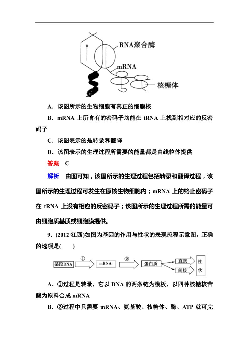 高中生物必修二2014届高考生物课后强化作业：2-3-3基因的表达第5页