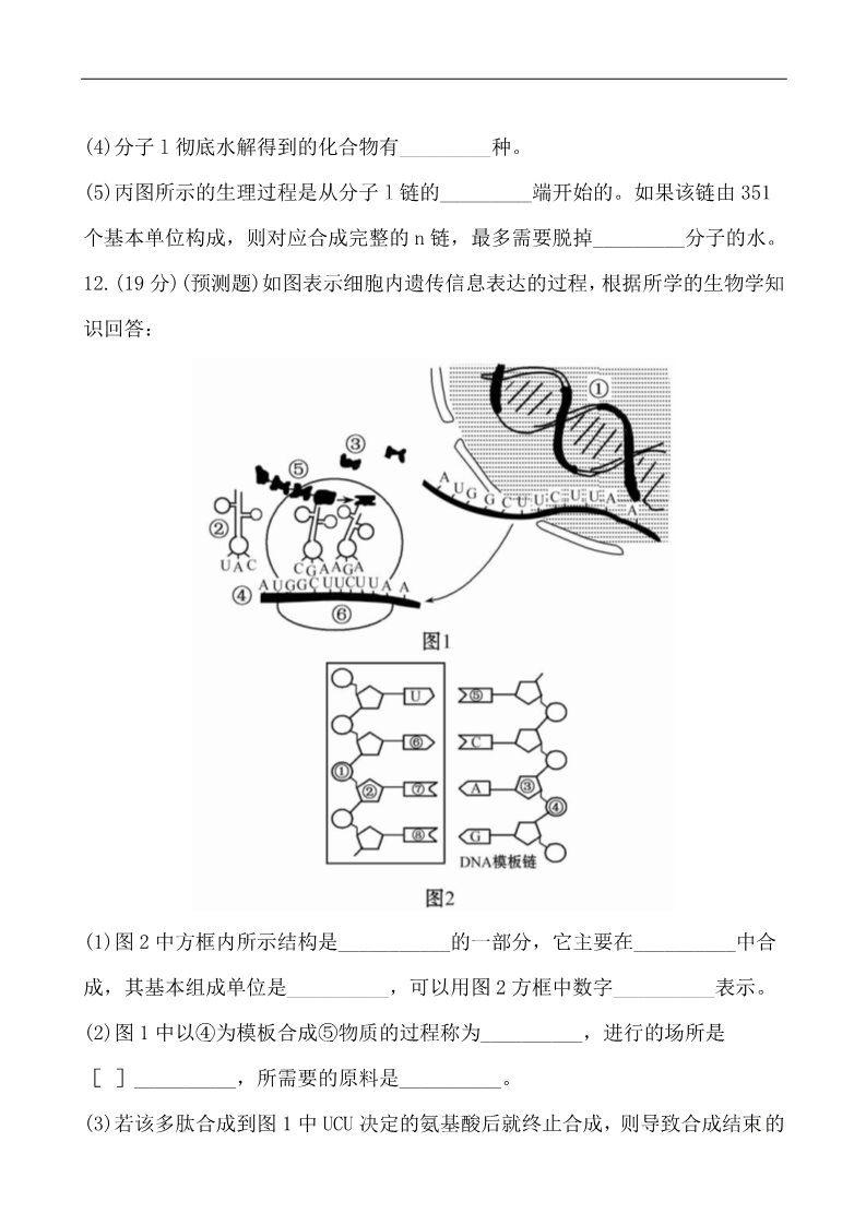 高中生物必修二2013版课时提能演练：2.4.0基因的表达第5页