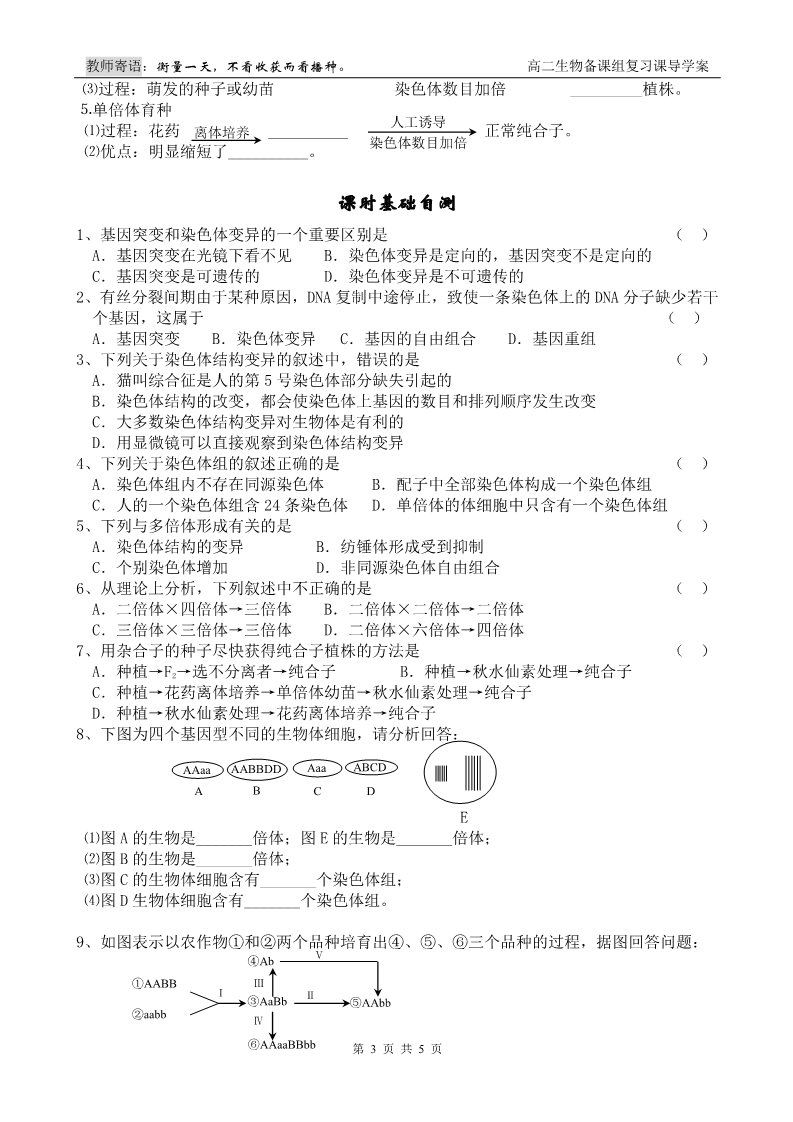 高中生物必修二第9课时 基因突变和基因重组+染色体变异第3页