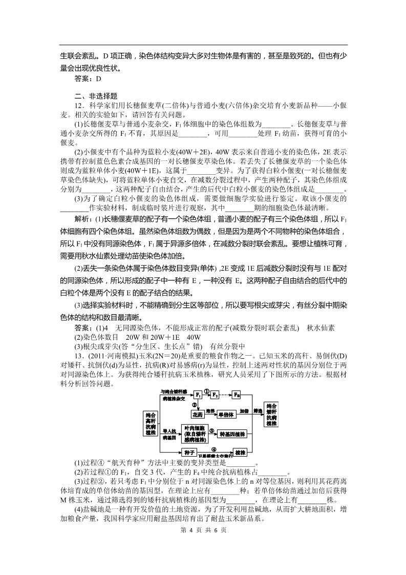 高中生物必修二必修二课时训练（第六章 从杂交育种到基因工程）第4页