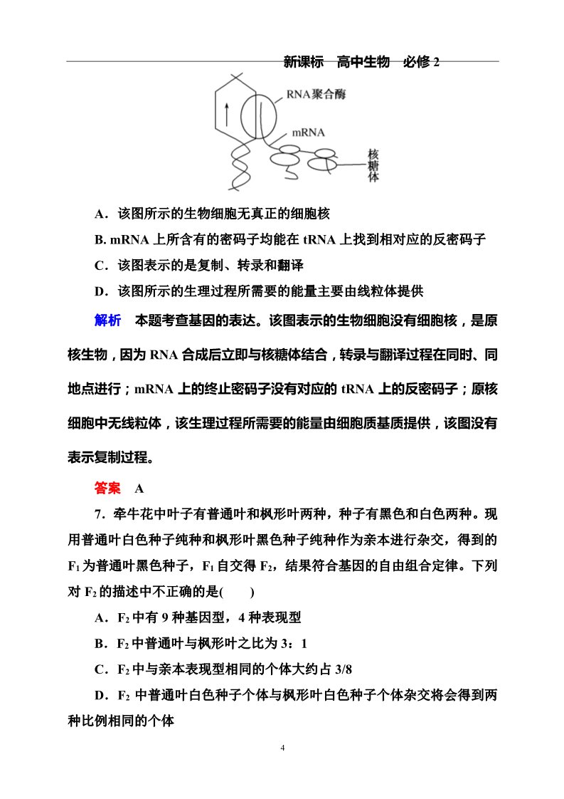 高中生物必修二综 合 测 评第4页