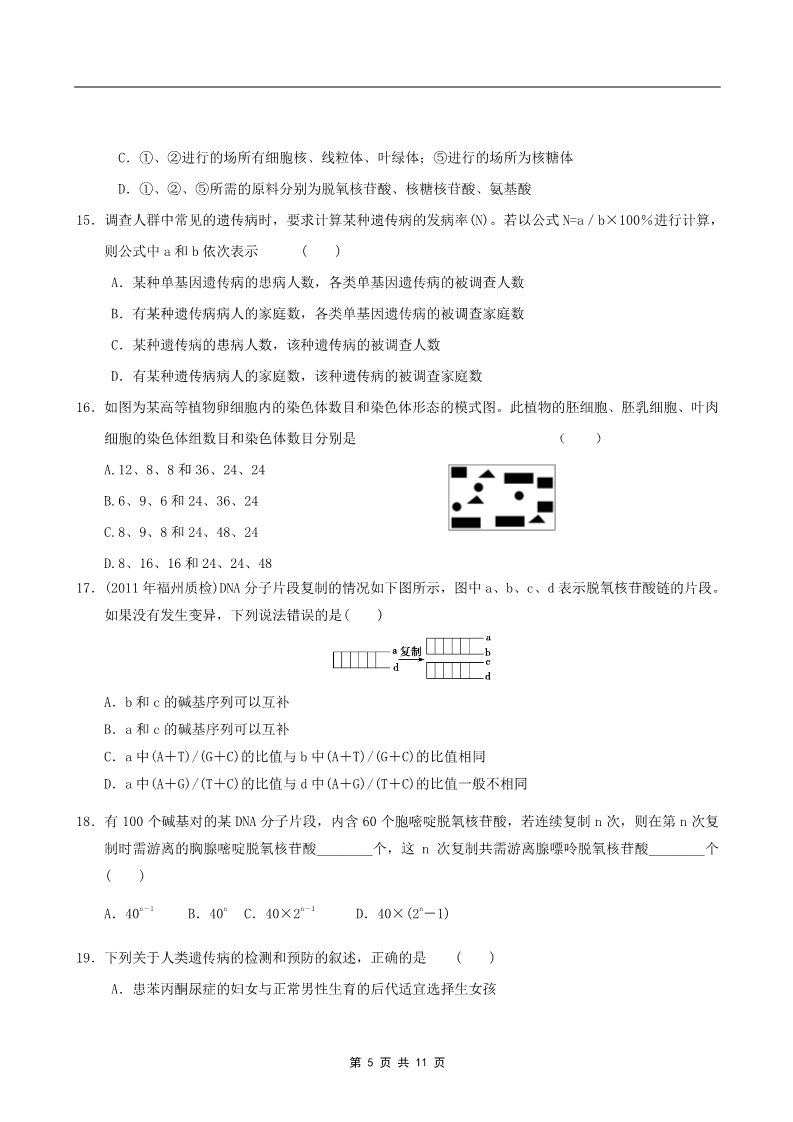 高中生物必修二2011年山东省学业水平测试必修二生物模拟试题（人教版） (8)第5页