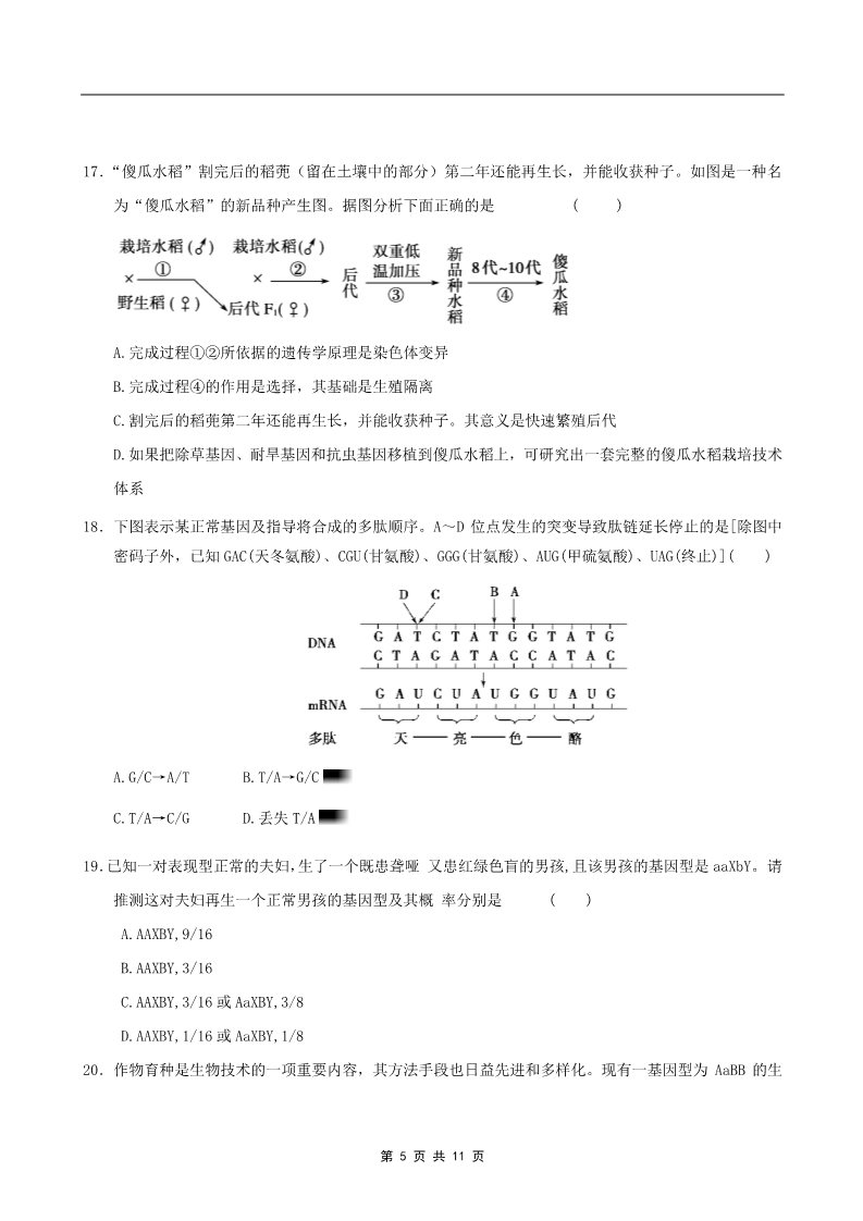 高中生物必修二2011年山东省学业水平测试必修二生物模拟试题（人教版） (9)第5页