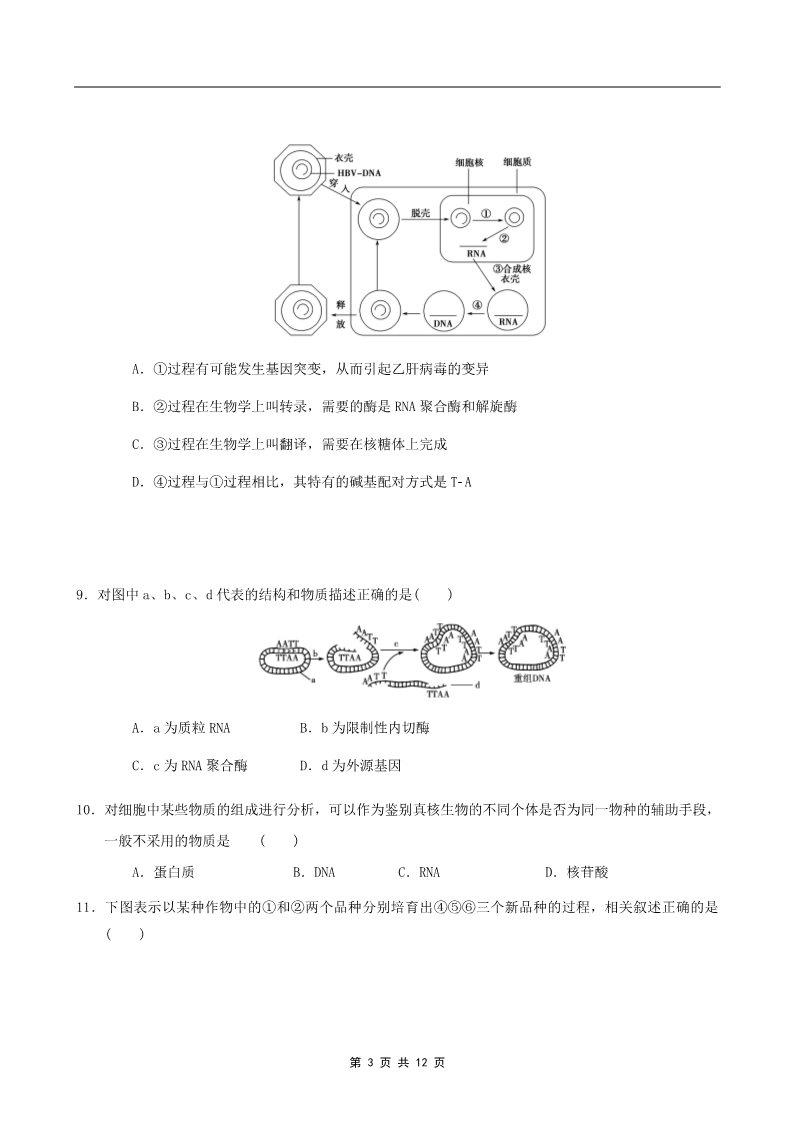 高中生物必修二2011年山东省学业水平测试必修二生物模拟试题（人教版） (7)第3页