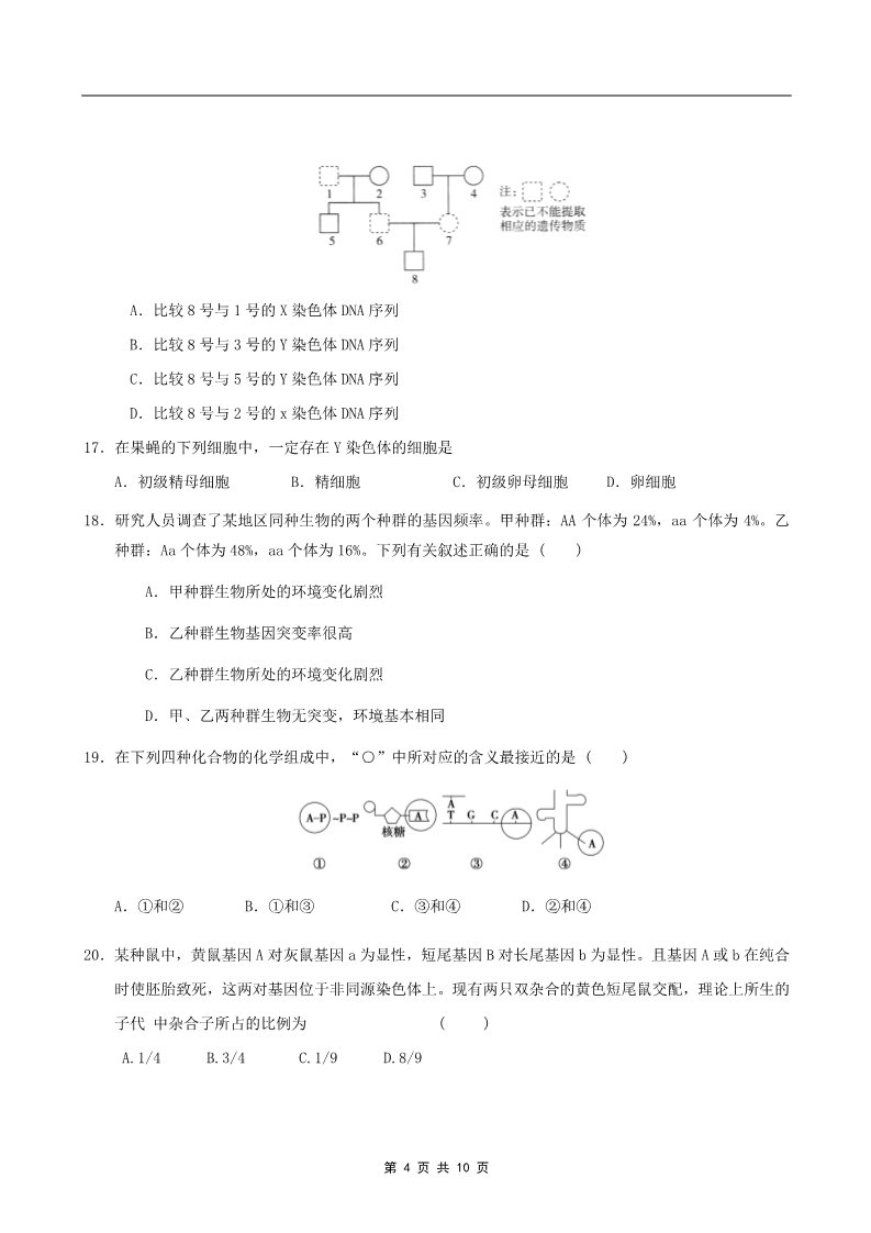 高中生物必修二2011年山东省学业水平测试必修二生物模拟试题（人教版） (4)第4页