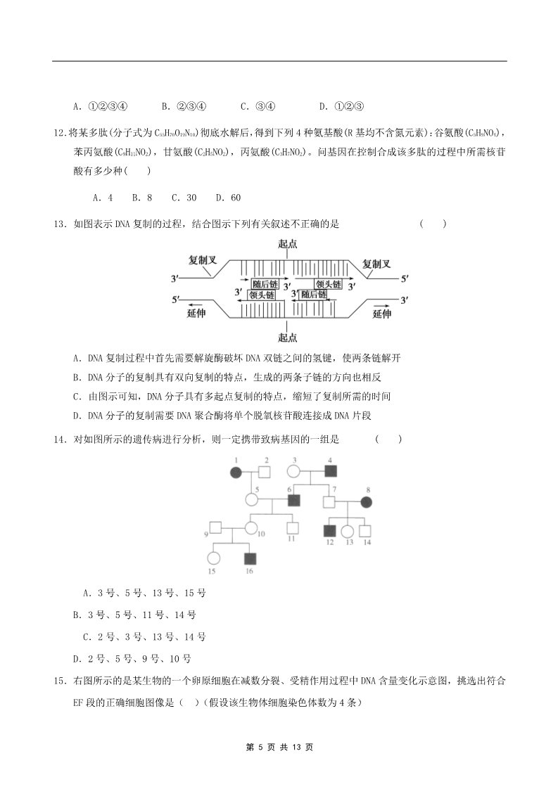 高中生物必修二2011年山东省学业水平测试必修二生物模拟试题（人教版） (2)第5页