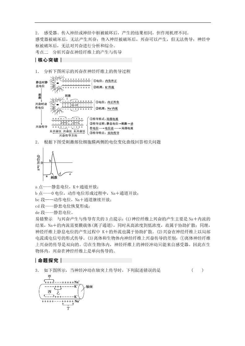 高中生物必修三届高三生物（人教版通用）一轮复习教案--- 第27讲 通过神经系统的调节第5页
