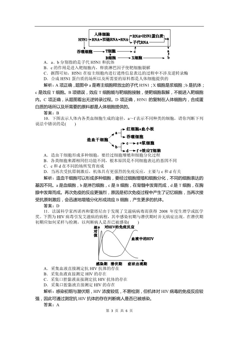 高中生物必修三必修三课时训练（第二章 第4讲 免疫调节）第3页