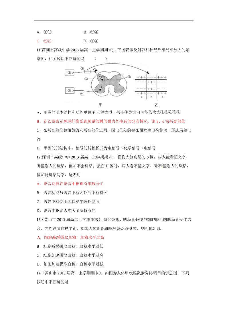 高中生物必修三2013人教版必修三第2章《动物和人体生命活动的调节》word同步测试第3页