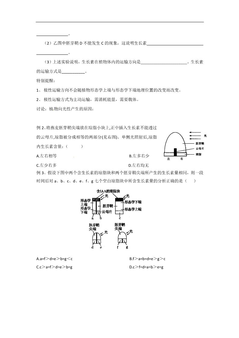 高中生物必修三3.1 植物生长素的发现   预习导学案第4页