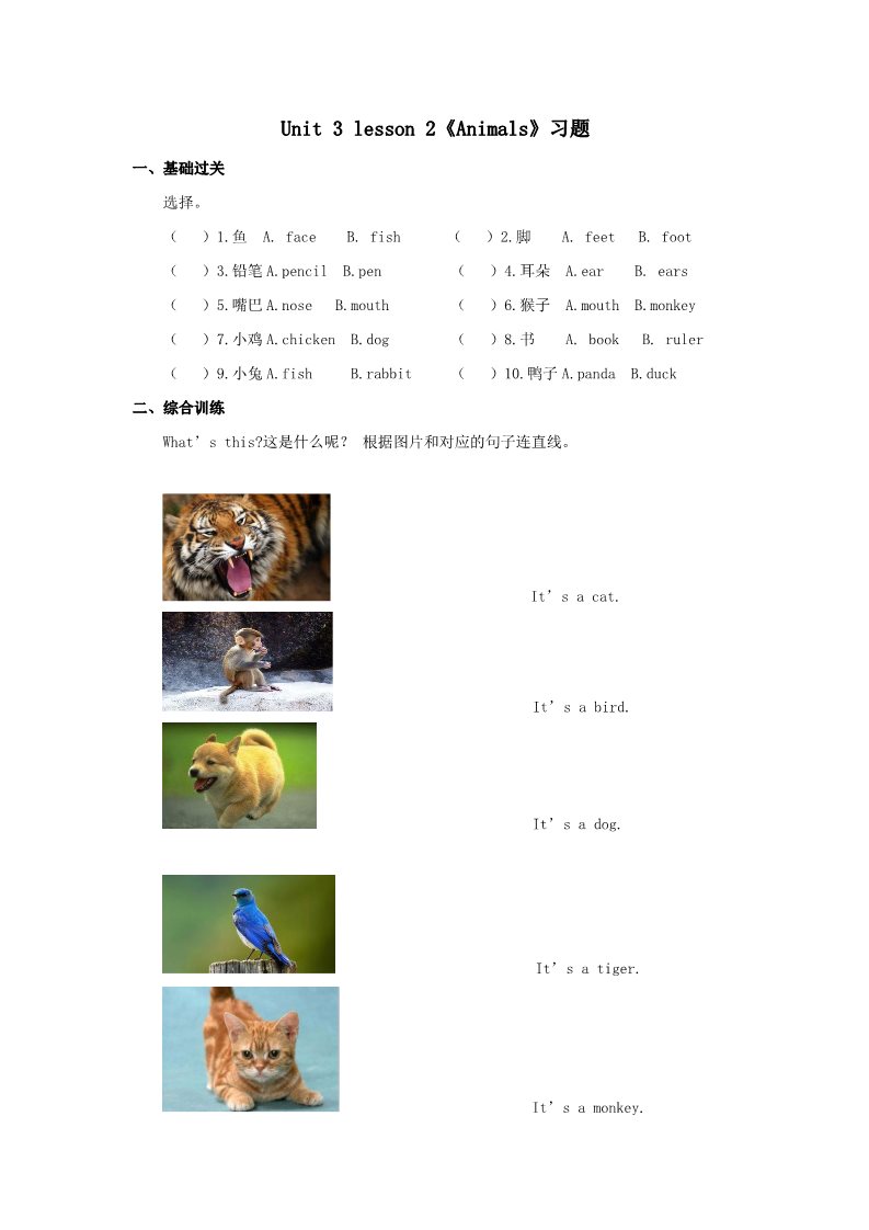 一年级上册英语（SL版）Animals习题2第1页